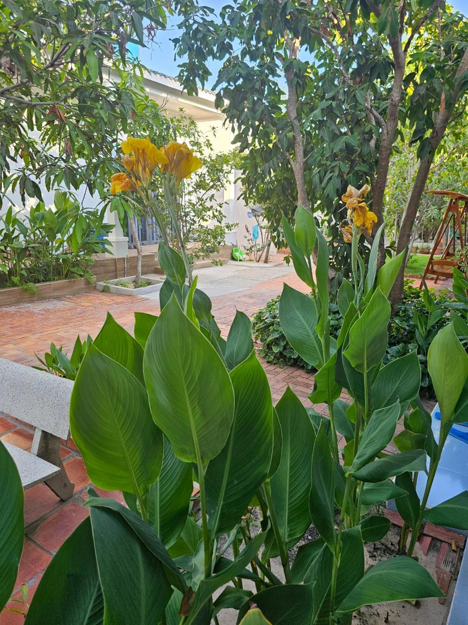 Cay Phuong Guesthouse Mui Ne Exteriör bild